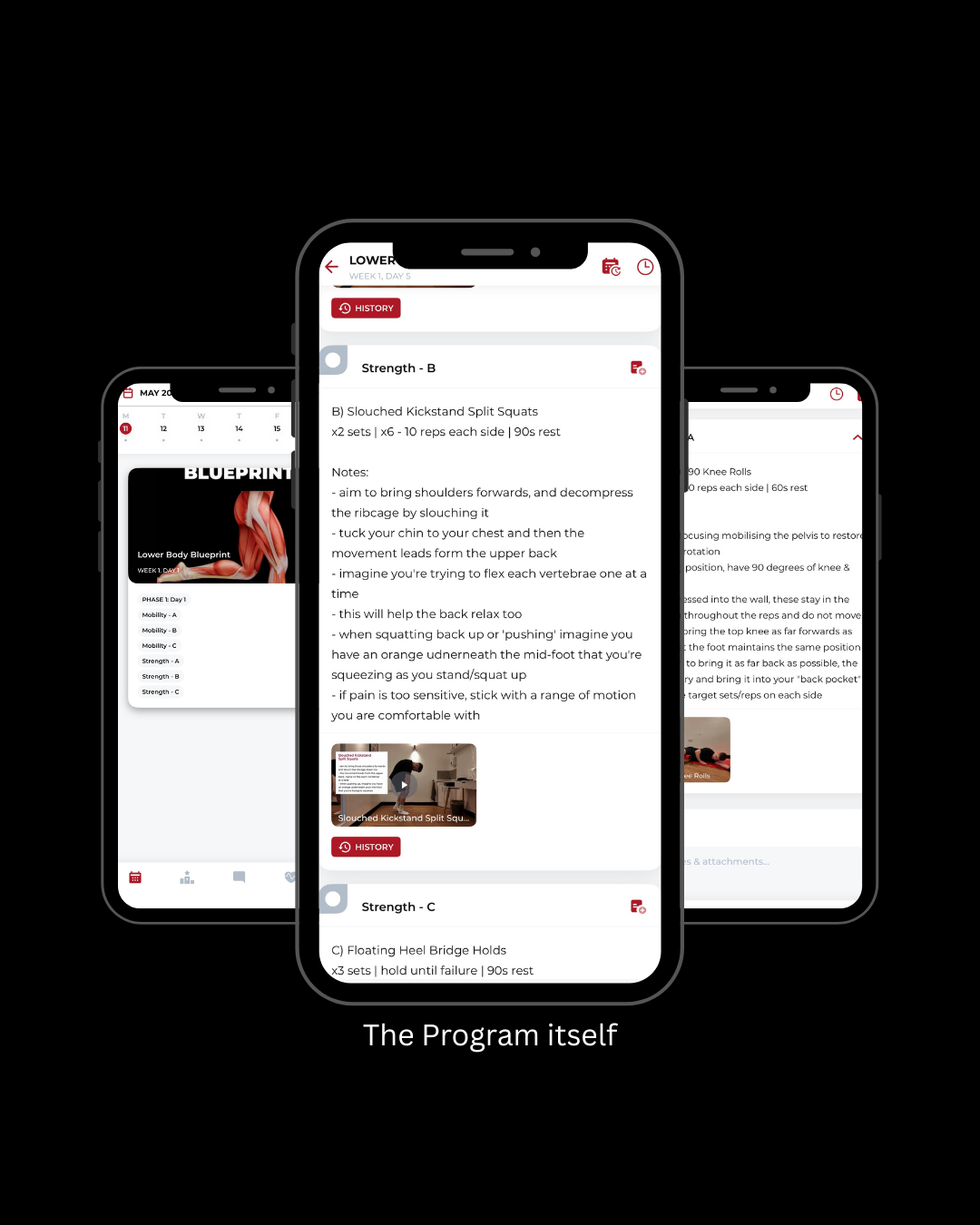 Lower Body Program [8 weeks]