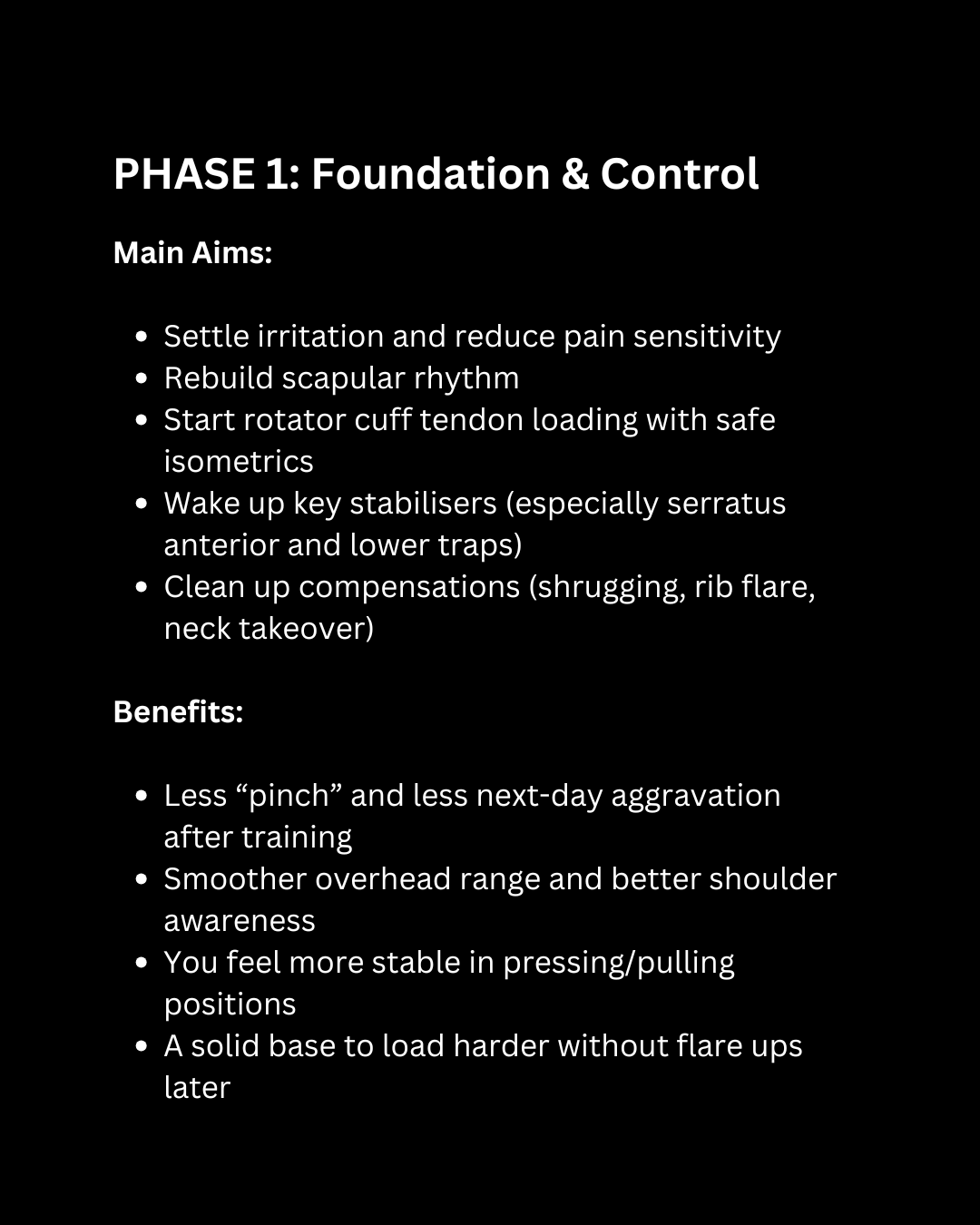 The Shoulder Program [10 weeks]