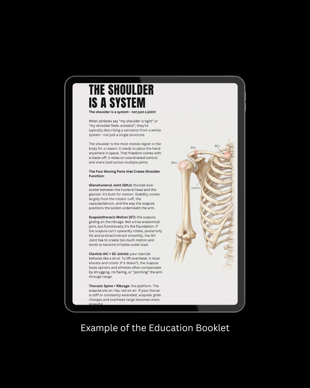 The Shoulder Program [10 weeks]