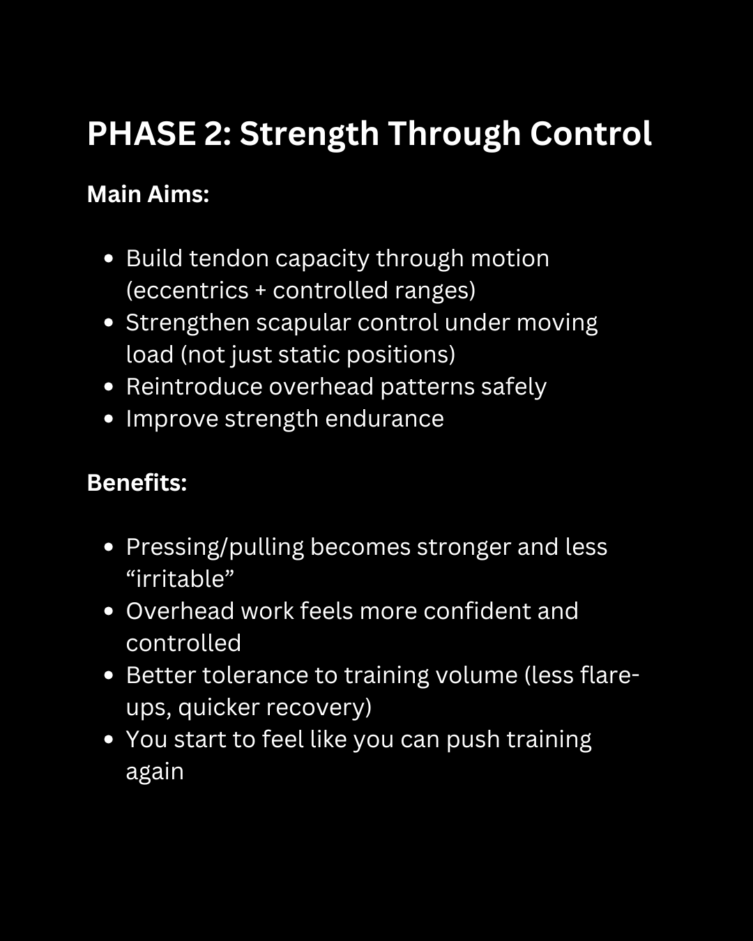 The Shoulder Program [10 weeks]
